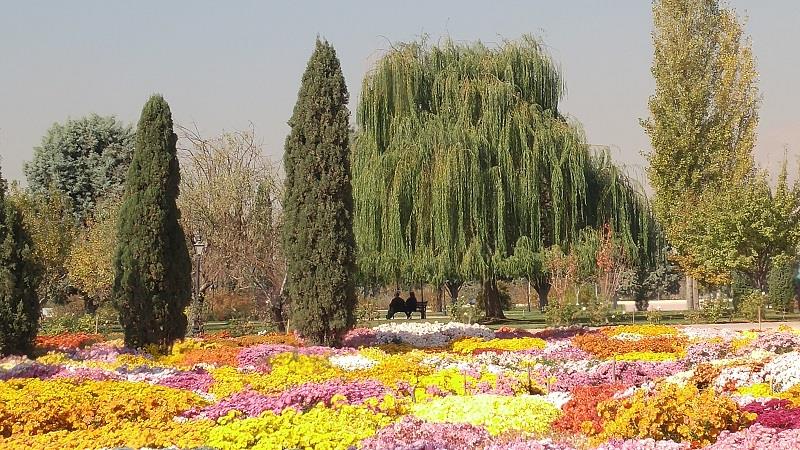 سال نو مبارك